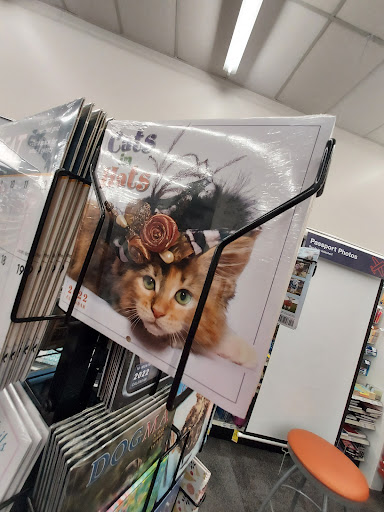 Drug Store «CVS», reviews and photos, 23391 Farmington Rd, Farmington, MI 48336, USA