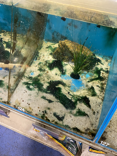 Pet Supply Store «PetSmart», reviews and photos, 1621 E Monte Vista Ave b, Vacaville, CA 95688, USA