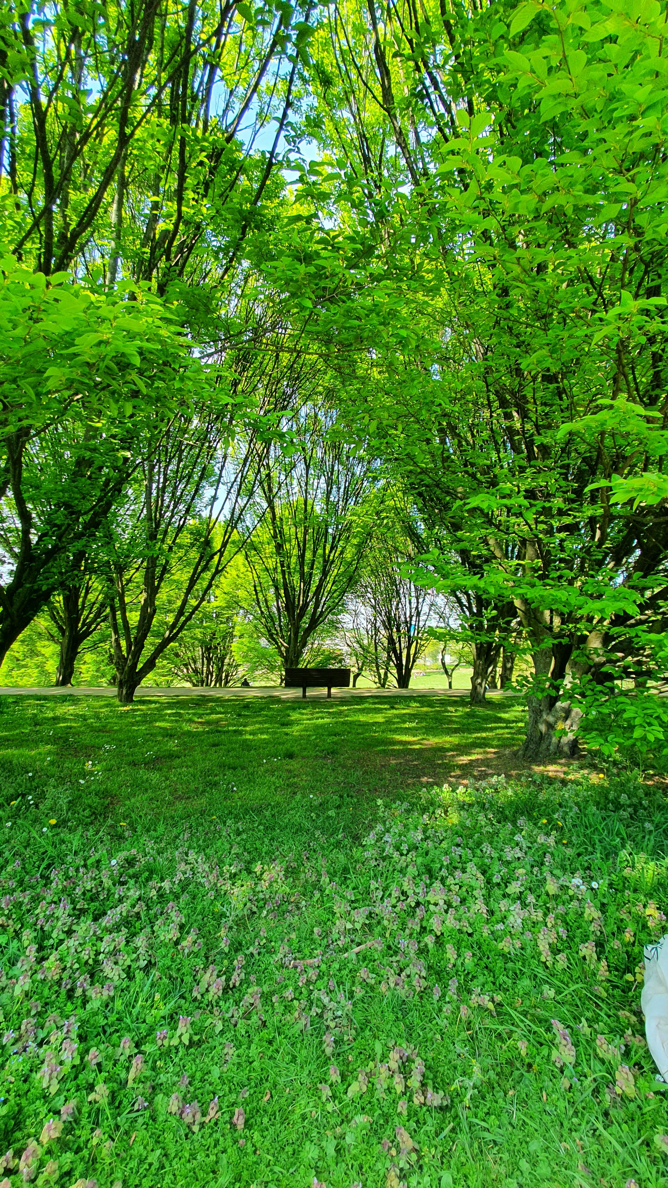 Photo n° 1 de l'avis de Luc.u fait le 26/04/2021 à 06:37