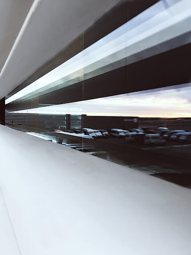 Vinduespudseren DYRVIG