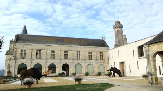 Musée de Préhistoire du Grand-Pressigny Rue des Remparts, 37350 Le Grand-Pressigny, France