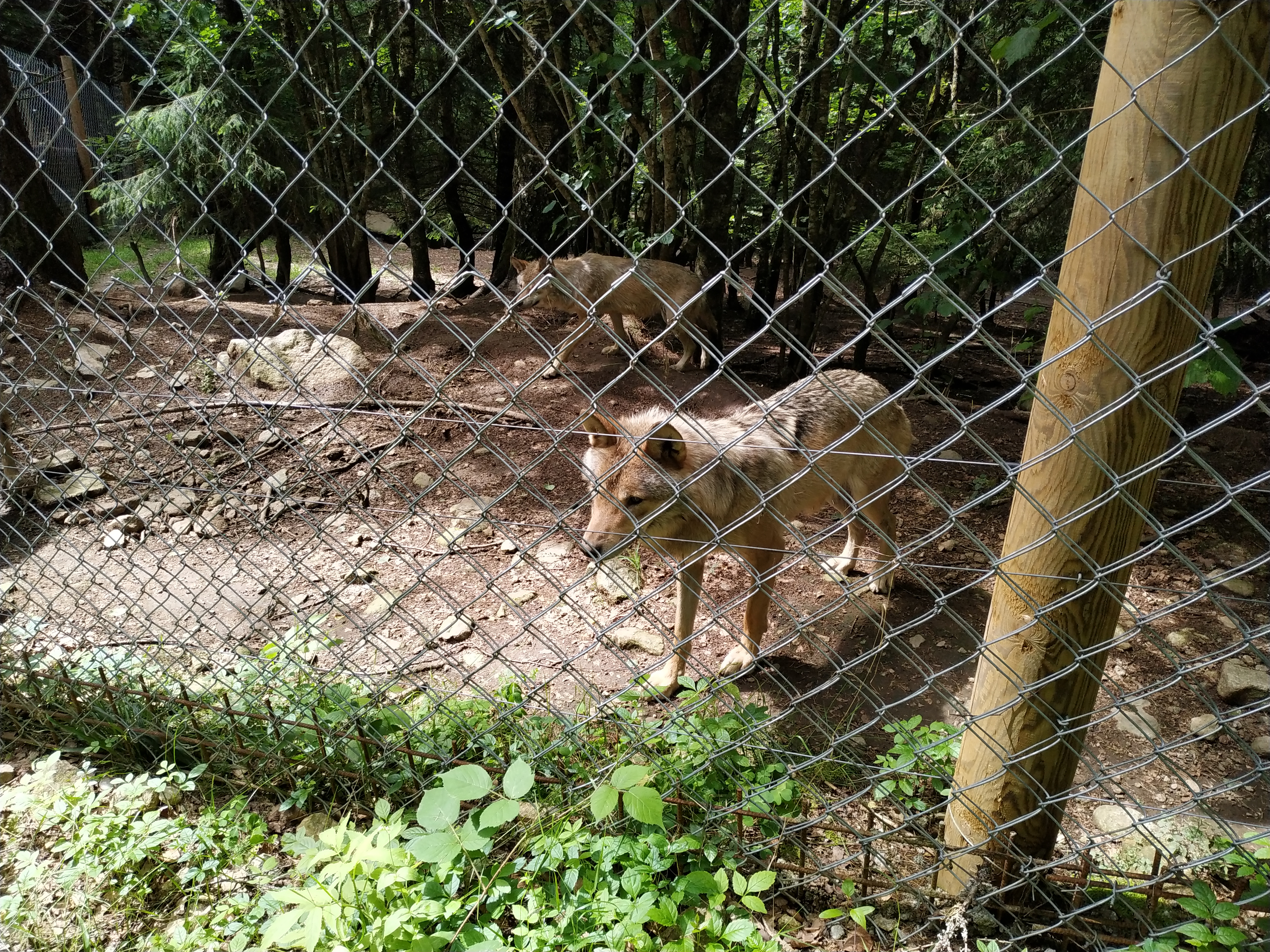 Photo n° 2 de l'avis de Wg.e fait le 20/06/2021 à 15:06