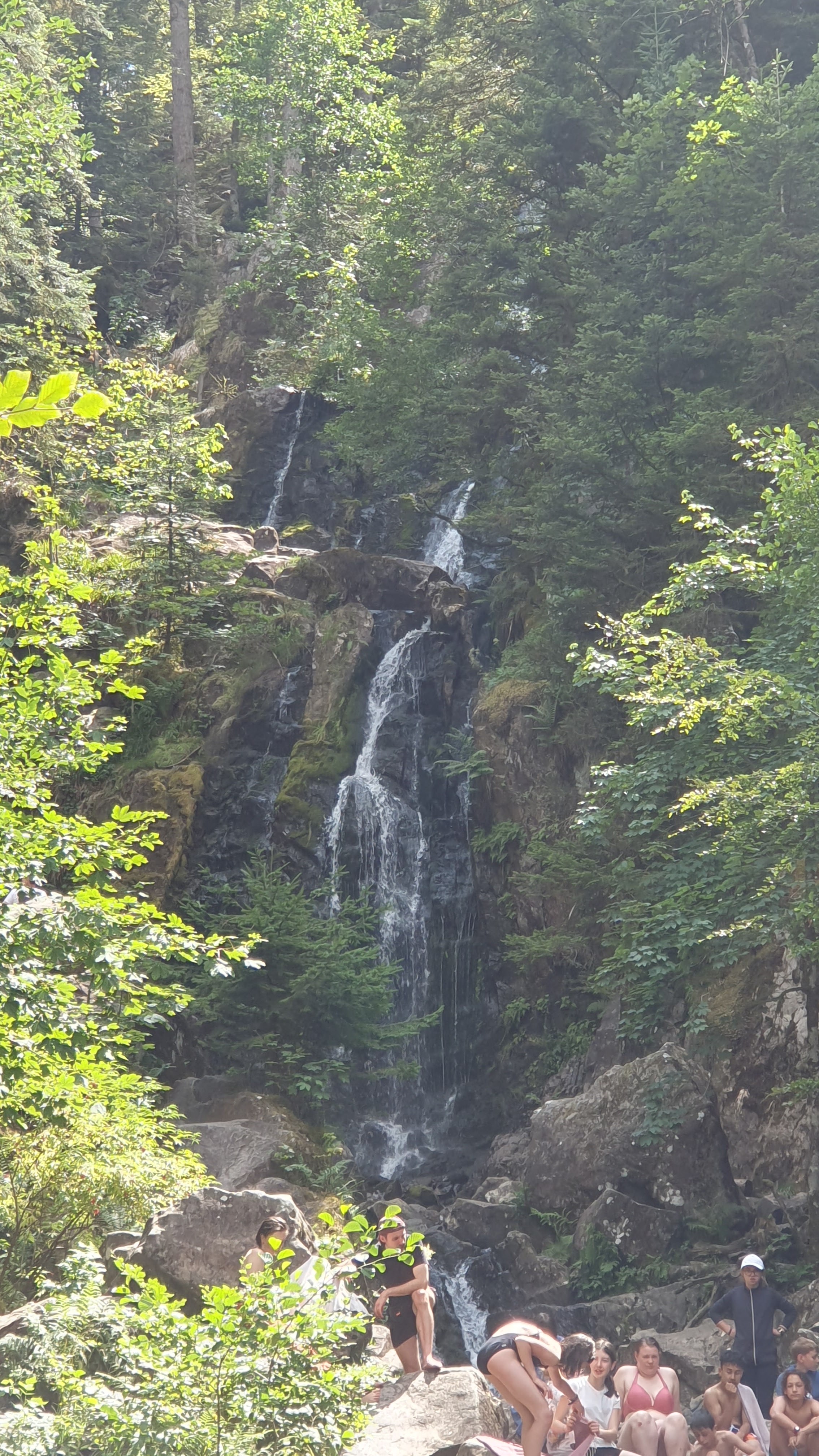 Photo n° 2 de l'avis de Denis.u fait le 28/07/2023 à 20:03