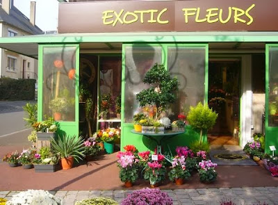 Exotic Fleurs à Condé-en-Normandie
