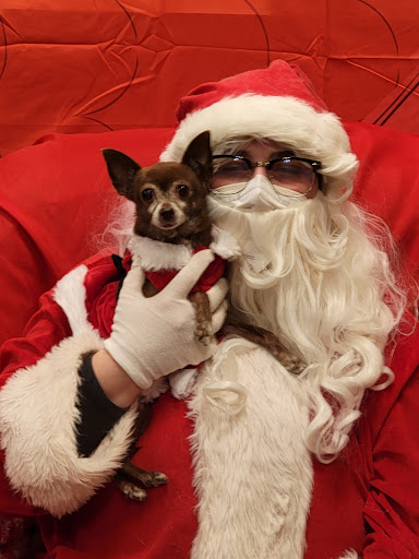 Pet Supply Store «PetSmart», reviews and photos, 215 Needham St, Newton, MA 02464, USA