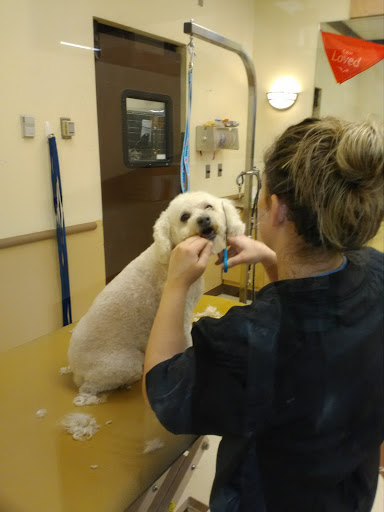 Pet Supply Store «PetSmart», reviews and photos, 3425 Amelia Dr, Orchard Park, NY 14127, USA