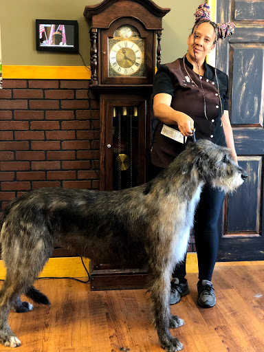 Steampup Parlor image
