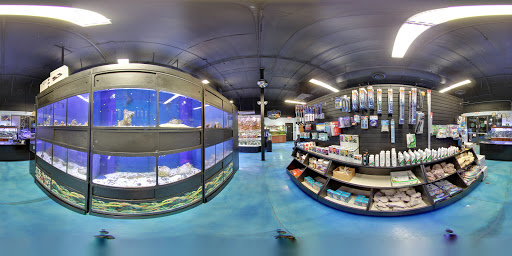 Tropical Fish Store «Pisces Reef Fish Emporium, LLC», reviews and photos, 9326 W Sahara Ave, Las Vegas, NV 89117, USA