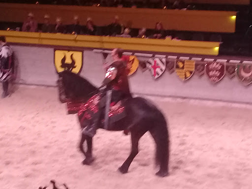 Dinner Theater «Medieval Times Dinner & Tournament», reviews and photos, 5900 Sugarloaf Pkwy #517, Lawrenceville, GA 30043, USA