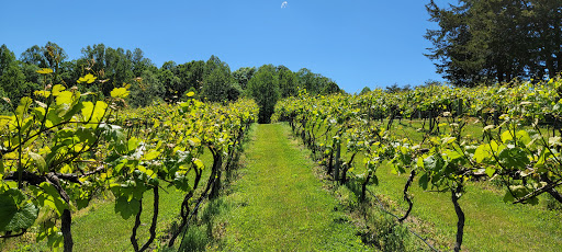 Winery «Glass House Winery», reviews and photos, 5898 Free Union Rd, Free Union, VA 22940, USA