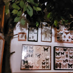 Photo n°3 de l'avis de Maria.c fait le 30/01/2024 à 06:37 sur le  Gasthof zur Linde à Zwönitz