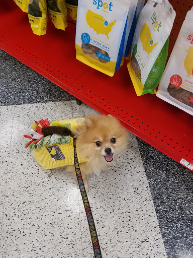Pet Supply Store «Petco Animal Supplies», reviews and photos, 23 Danada Square W, Wheaton, IL 60187, USA