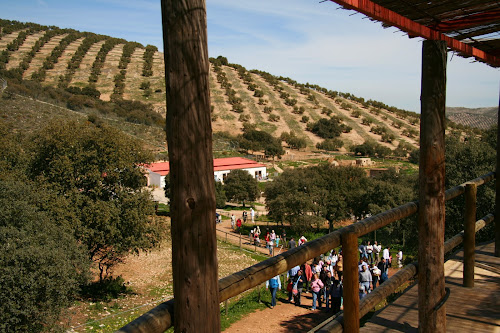 attractions Lobo Park, Antequera Antequera