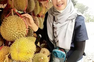 Durian Shakila image