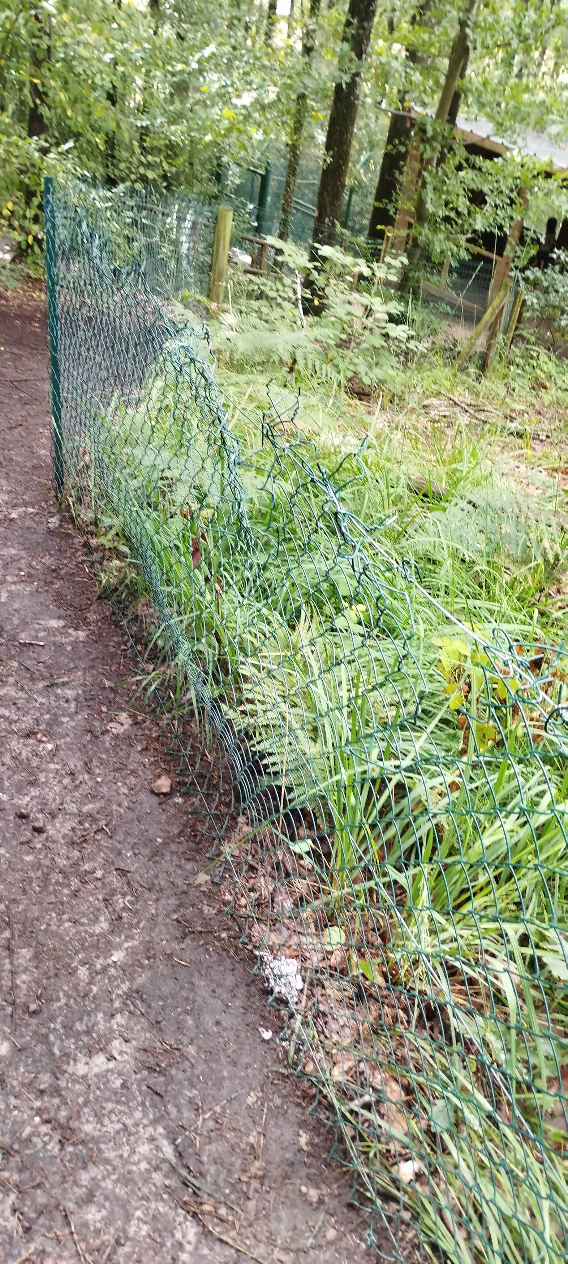 Photo n° 4 de l'avis de Max.M fait le 30/07/2023 à 10:32