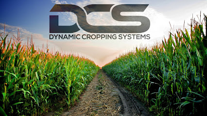 Dynamic Cropping Systems