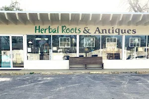 Herbal Roots & Antiques image