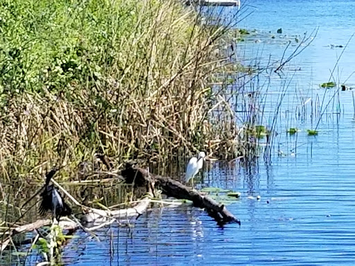 Nature Preserve «Jiggs Landing», reviews and photos, 6106 63rd St E, Bradenton, FL 34203, USA