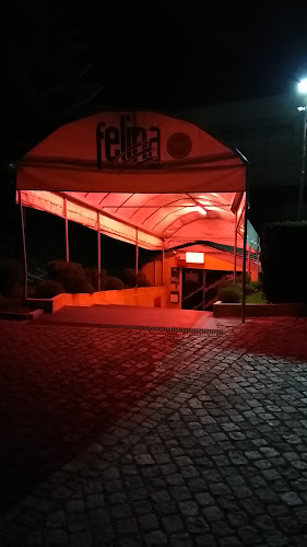 Avaliações doFelina Bar em São João da Madeira - Bar