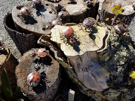 Florist «Cambria Nursery & Florist», reviews and photos, 2801 Eton Rd, Cambria, CA 93428, USA