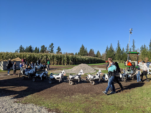Amusement Center «Maris Farms», reviews and photos, 25001 Sumner Buckley Hwy, Buckley, WA 98321, USA