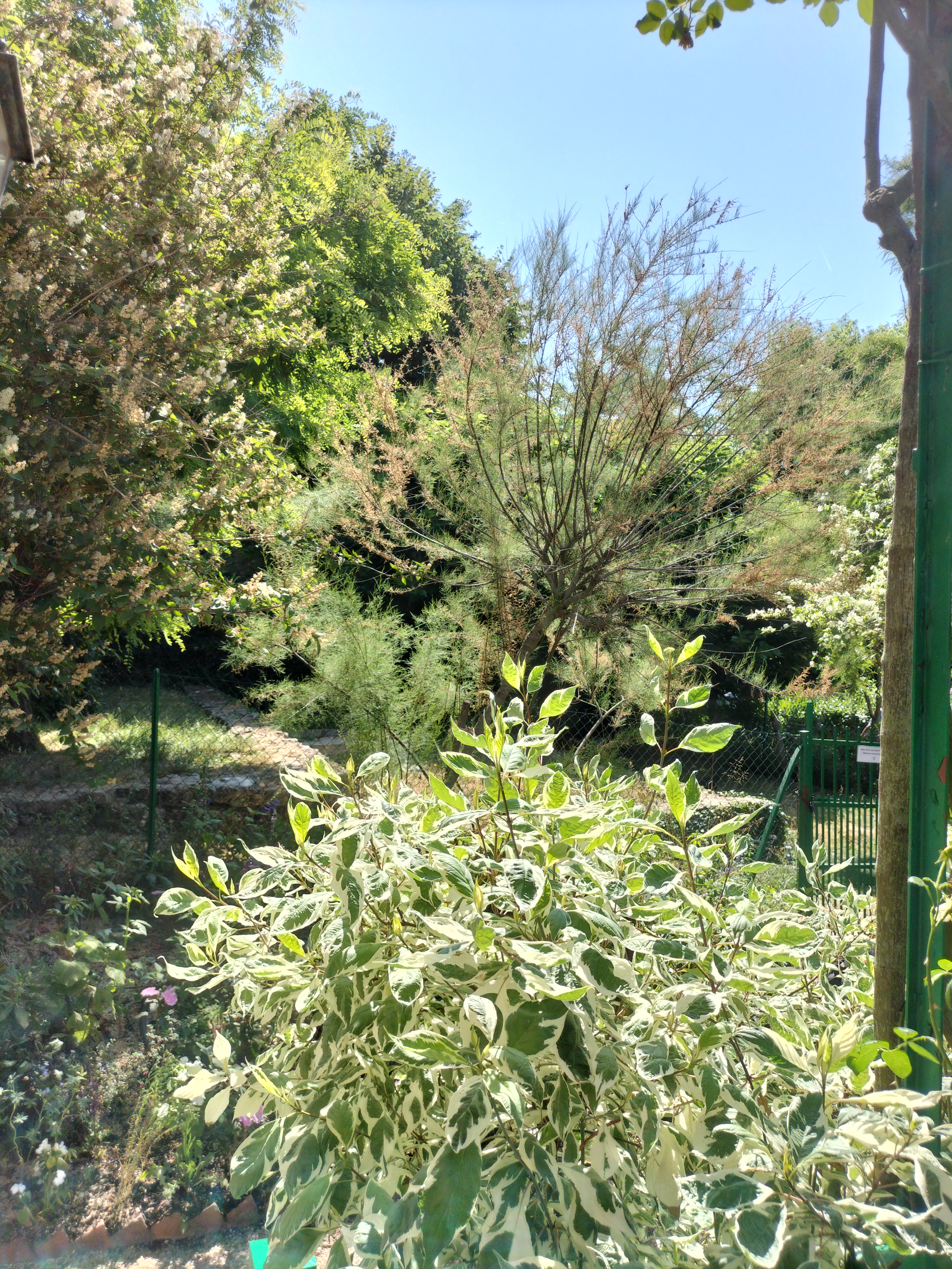 Photo n° 29 de l'avis de didier.e fait le 15/06/2023 à 13:38