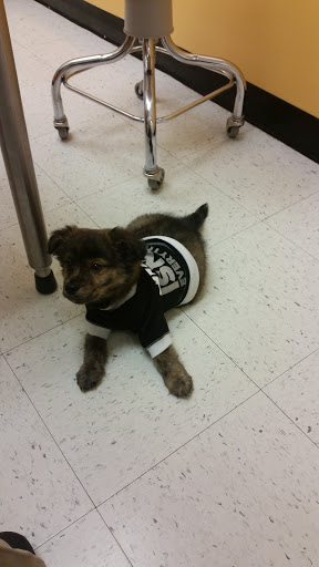 Pet Supply Store «PetSmart», reviews and photos, 198 Promenade Blvd, Flowood, MS 39232, USA