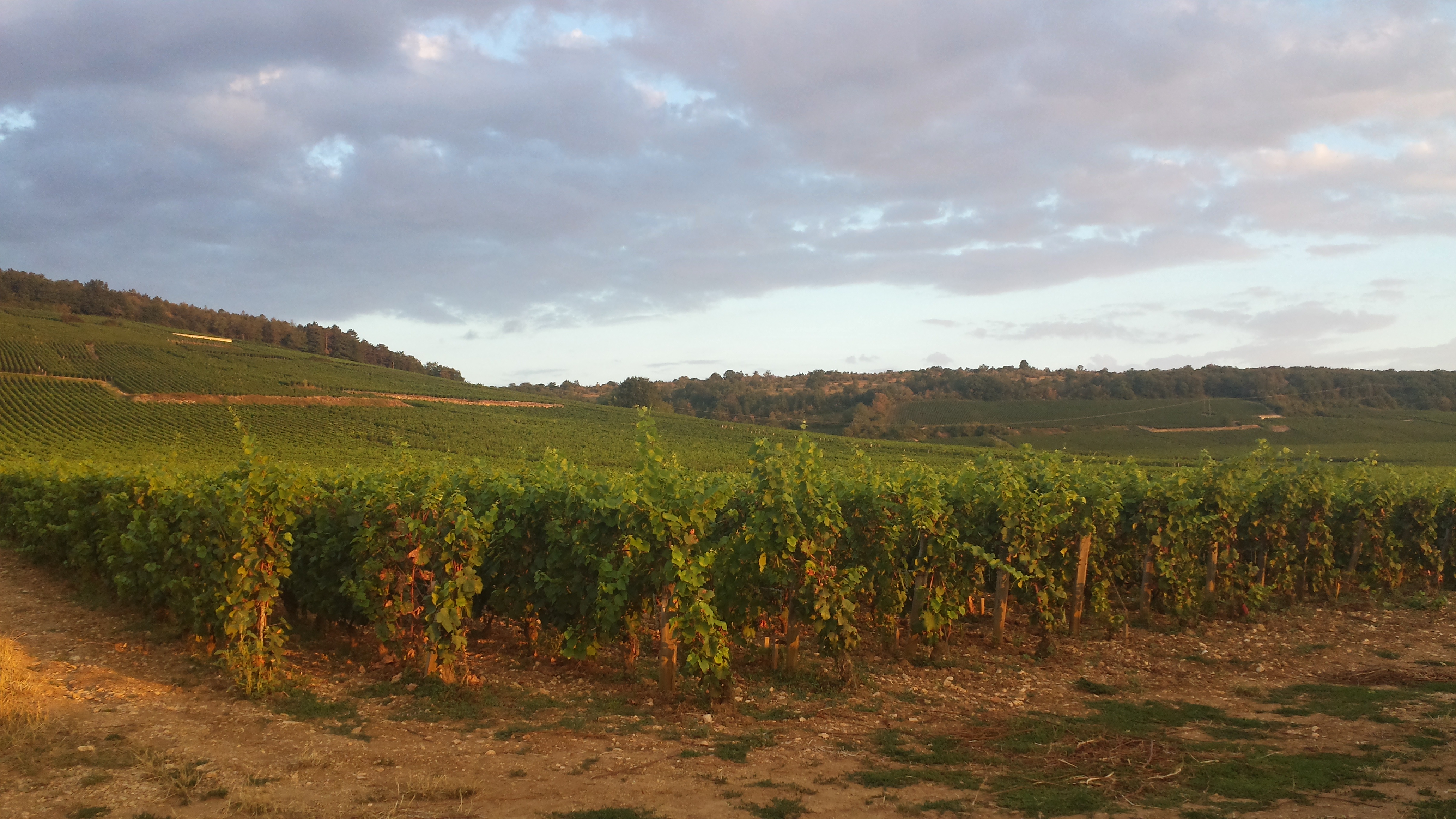 Photo n° 3 de l'avis de Jipi. fait le 17/08/2018 à 20:02