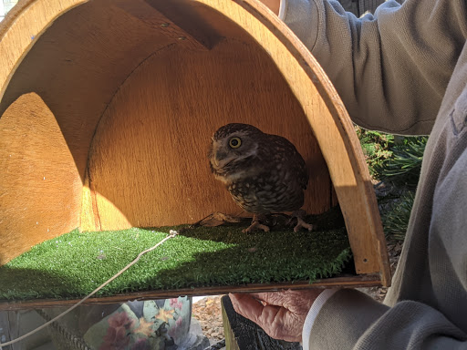 Zoo «Audubon Center for Birds of Prey», reviews and photos, 1101 Audubon Way, Maitland, FL 32751, USA