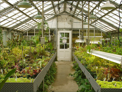 A Plant Nursery & Garden Center