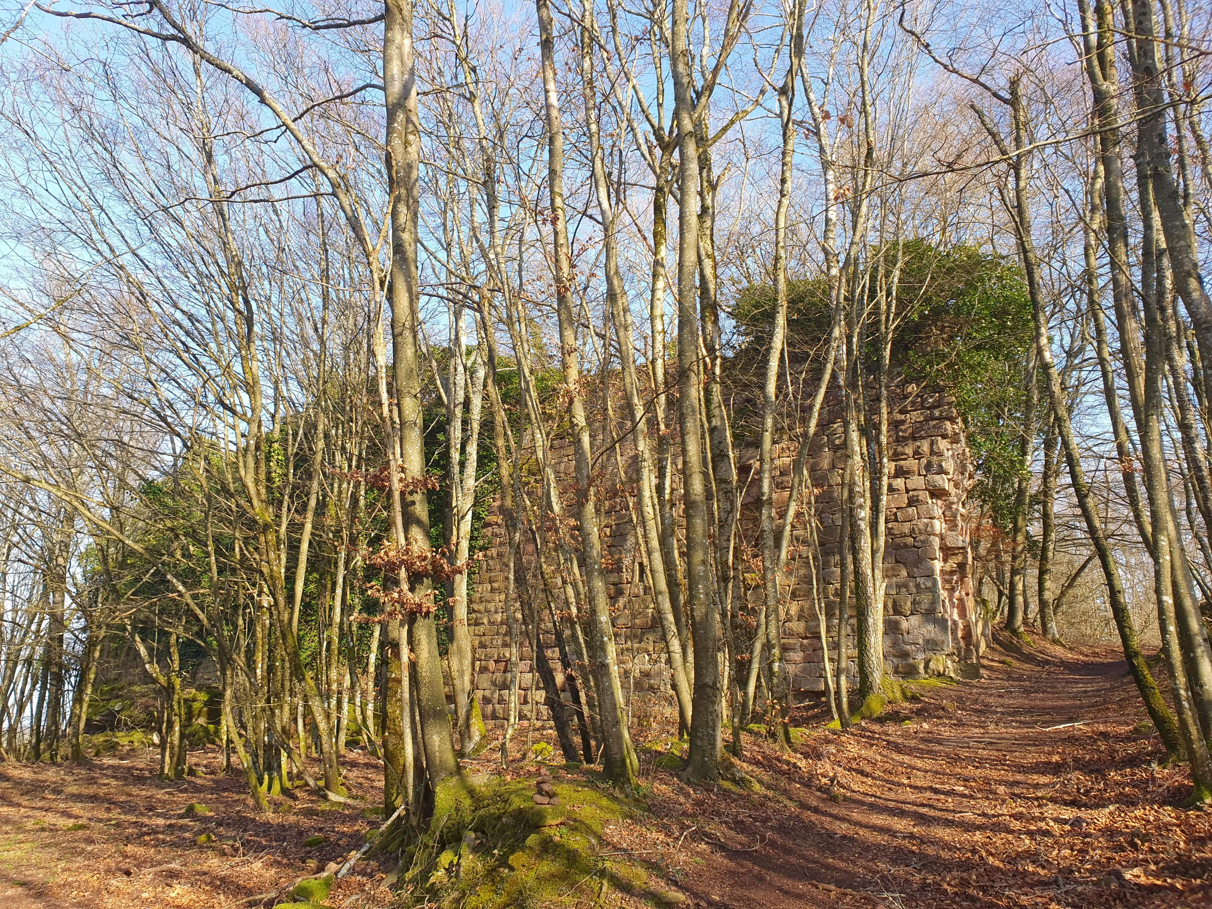 Photo n° 1 de l'avis de Magalie.a fait le 10/02/2020 à 19:38
