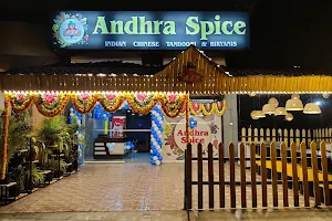 ANDHRA SPICE image