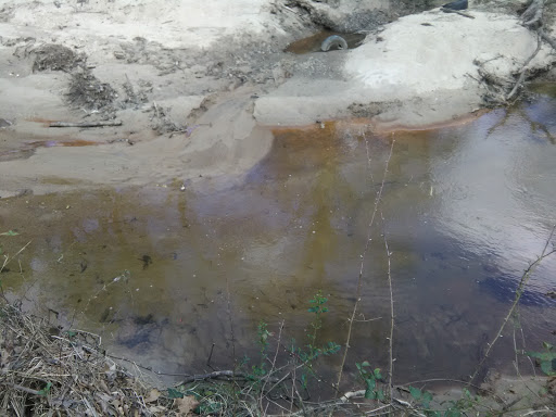 Nature Preserve «Clyde Shepherd Nature Preserve», reviews and photos, 2580 Pine Bluff Dr, Decatur, GA 30033, USA