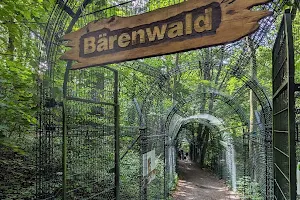 Alternativer Bärenpark Worbis image