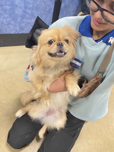 Pet Supply Store «PetSmart», reviews and photos, 218 Kentlands Blvd, Gaithersburg, MD 20878, USA