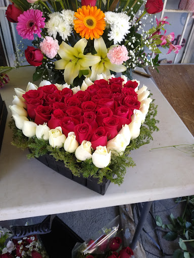 Gina Florería – Chihuahua