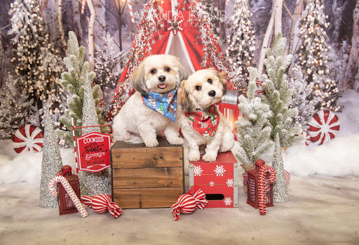 Pet Supply Store «EarthWise Pet Supply», reviews and photos, 7316 Yankee Rd, Liberty Township, OH 45044, USA