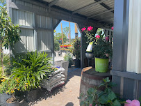 Contours Landscape Solution - Photo 4 - Car repair in Howey-In-The-Hills, FL, Leesburg