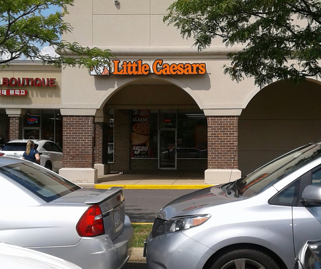 Little Caesars Pizza 22003
