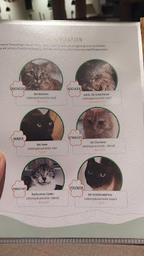 Katzentempel Minden à Minden menu