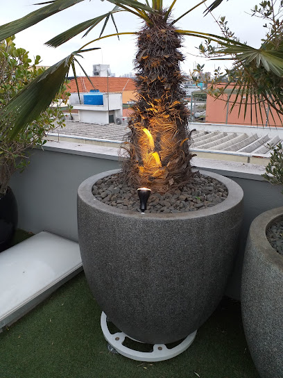 Ana Paula Magaldi Paisagismo Vila Hamburguesa São Paulo SP