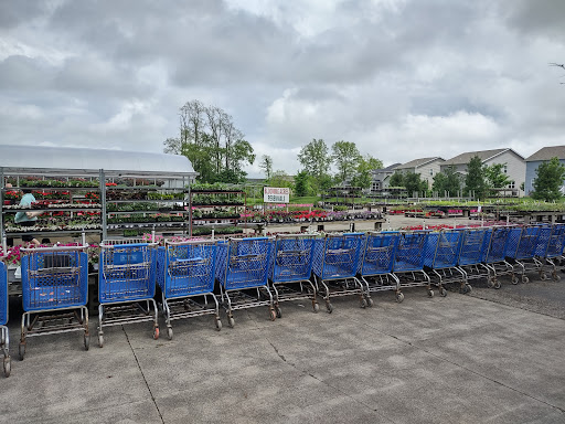 Plant Nursery «Blooming Acres», reviews and photos, 7561 State Rd, Wadsworth, OH 44281, USA