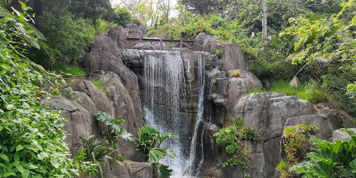 Park «Huntington Falls», reviews and photos, 50 Stow Lake Dr, San Francisco, CA 94118, USA