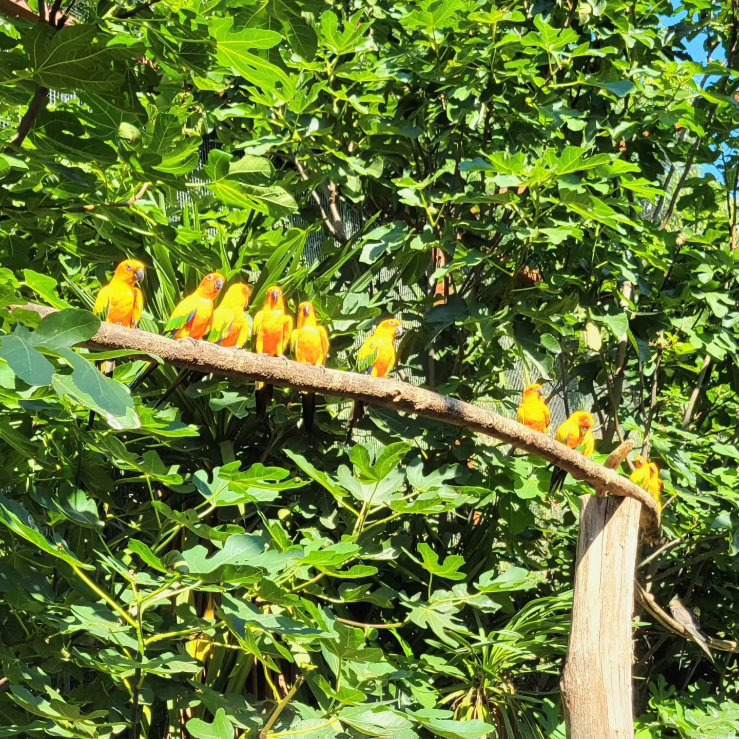 Photo n° 5 de l'avis de Henri.u fait le 24/08/2023 à 07:09