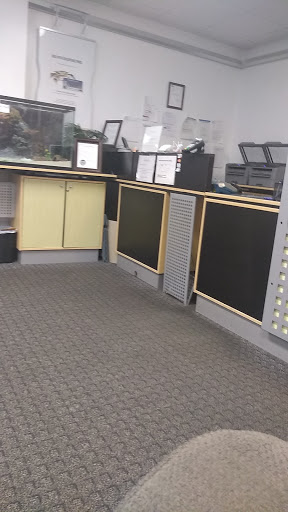 Title Company «12 Minute Tag and Title», reviews and photos