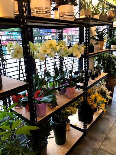 Florist «Avenue J Florist», reviews and photos, 1502 Avenue J, Brooklyn, NY 11230, USA