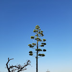 Photo n°1 de l'avis de camilla.a fait le 19/07/2022 à 09:21 sur le  Relais Trulli Le Icone à Ostuni