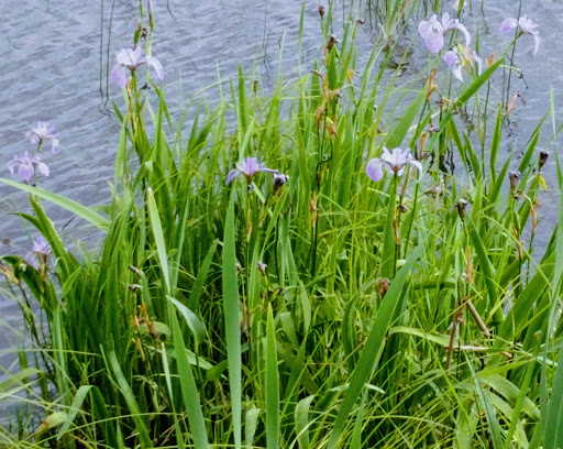 Resort «Bay Mills Resort & Casinos», reviews and photos, 11386 W Lakeshore Dr, Brimley, MI 49715, USA