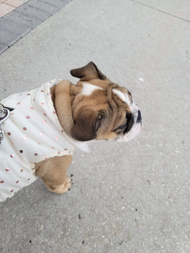 Theme Park «Fun Spot America Theme Parks-Kissimmee», reviews and photos, 2850 Florida Plaza Blvd, Kissimmee, FL 34746, USA