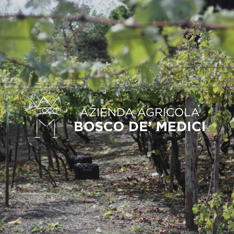 Azienda Agricola Bosco de 'Medici